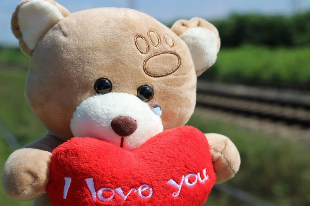 oso de peluche con mensaje Love you